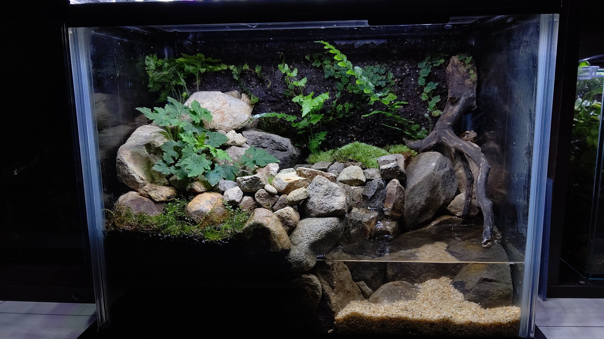 芸能人愛用 販売終了 アクアテラリウム作品 川の流れをイメージした水槽 魚用品 水草 Www Indiashopps Com