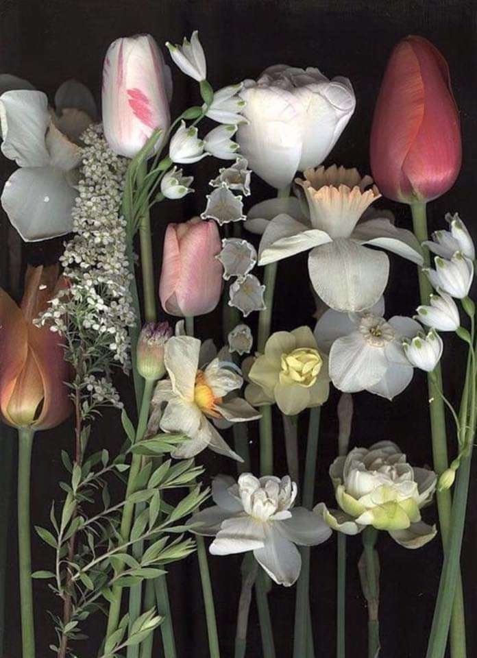yasmihandayani1's tweet photo. "Happiness is simple smiling together and sharing grief together will be the most beautiful thing https://t.co/0h9oTSvQLi