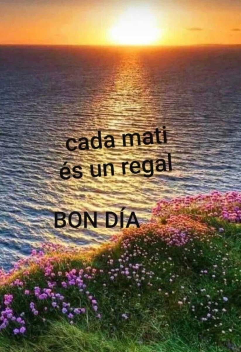 rosalabisbalera's tweet photo. @davidbisbal Oooooh jefe seguro que son bisbalerashastalastrankas 💙 como yooo 🤣🤣,y quieren wue les cantes #amorame🤣🤣🤣 Disfruta de este hermoso dia y ojala podamos vernos pronto ,me wuede con mS ganas de concierto #intimo2020db 🙏ojala puedas sacar mas fechas por aqui 🙏 https://t.co/txTSb78qUO
