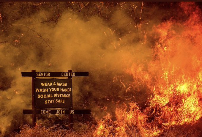 TobyonTV's tweet photo. The 'This is fine' meme 2020 remix

(Pic: Noah Berger/AP) https://t.co/OdCX26uMZB