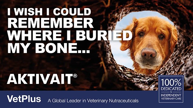 Have you heard of AKTIVAIT? This product helps to reduce age-related loss of mental function and activity levels in cats and dogs. Get in touch with us today for further details on how we can help your senior pets 😊