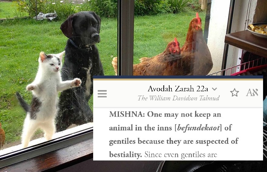 They return again to accusation that gentiles have sex with animals.Avodah Zarah Talmud Thread