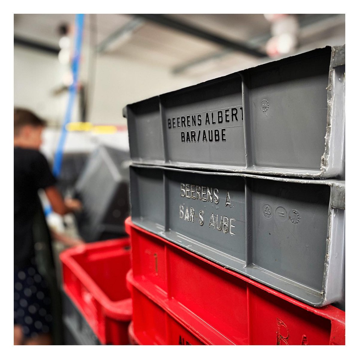 ChpBeerens's tweet photo. #Vendanges2020⁣
Lavage des caisses, dernier préparatif avant la vendanges 2020 !! 🍇💪⁣

#champagne #champagnebeerens #grapebox #caissesvendanges #vendanges #vendanges2020 #harvest #harvest2020 #terravitis #cotedesbar https://t.co/N3mg0XKnQu