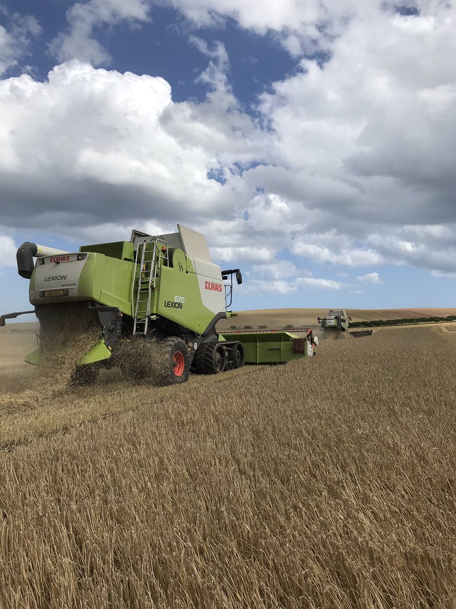 annabelhami11's tweet image. WE ARE COMBINING 🥳🏴󠁧󠁢󠁳󠁣󠁴󠁿👍🏻! 9 day break due to the weather. @MSandPltd @SimpsonsMalt Golden Promise being cut in lovely conditions 🤗! @CLAAS_UK @FarmersGuardian @FarmersWeekly  #crackon #fermin