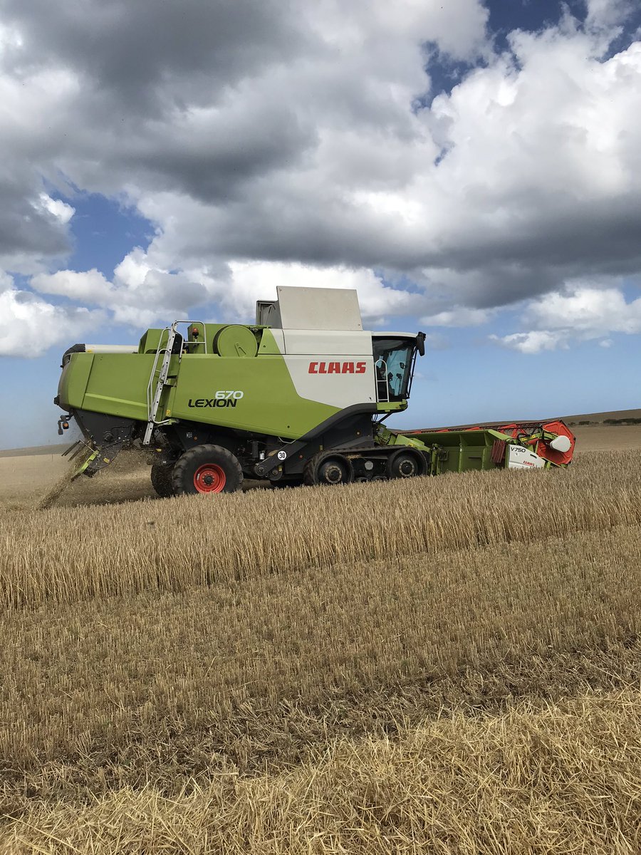 annabelhami11's tweet image. WE ARE COMBINING 🥳🏴󠁧󠁢󠁳󠁣󠁴󠁿👍🏻! 9 day break due to the weather. @MSandPltd @SimpsonsMalt Golden Promise being cut in lovely conditions 🤗! @CLAAS_UK @FarmersGuardian @FarmersWeekly  #crackon #fermin