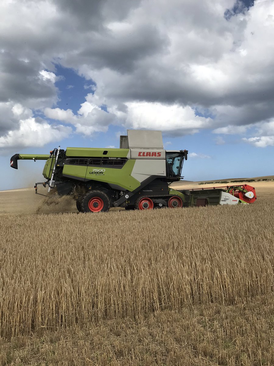 annabelhami11's tweet image. WE ARE COMBINING 🥳🏴󠁧󠁢󠁳󠁣󠁴󠁿👍🏻! 9 day break due to the weather. @MSandPltd @SimpsonsMalt Golden Promise being cut in lovely conditions 🤗! @CLAAS_UK @FarmersGuardian @FarmersWeekly  #crackon #fermin