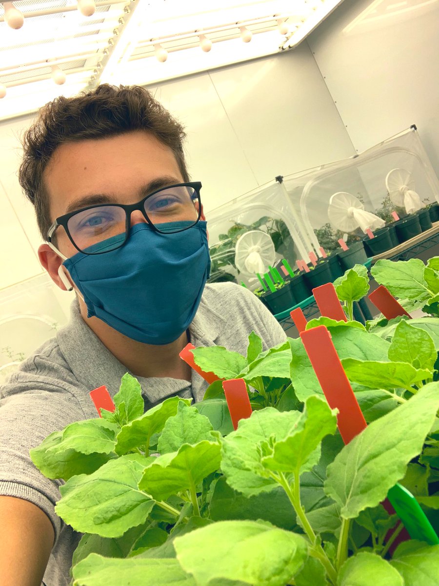 Brandon Roy, PhD tweet media