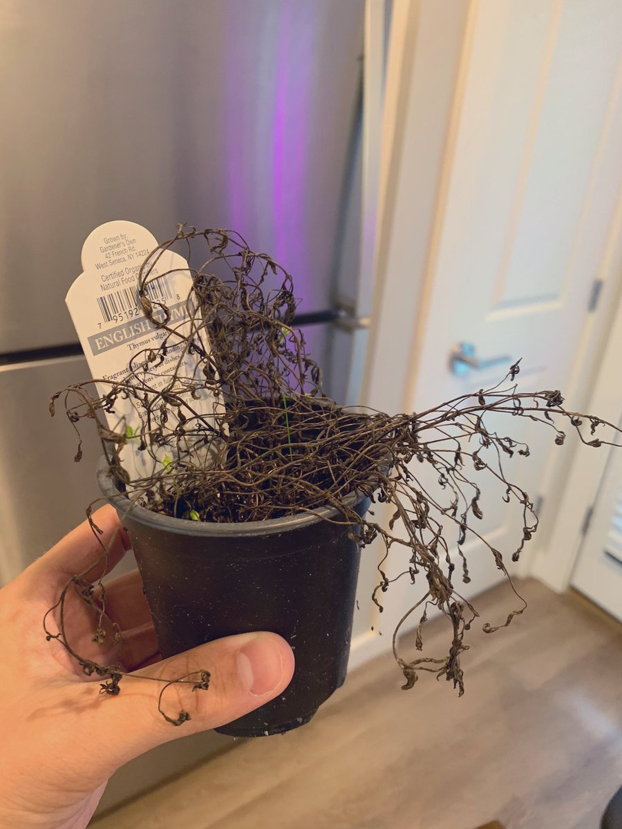 Brandon Roy, PhD tweet media