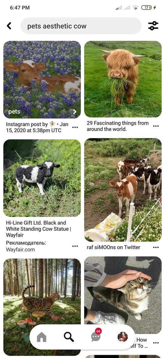 Sykka_'s tweet photo. Напишите в поисковике пинтереста "pets aesthetic cow"

Число рождения - фото вашей тотемной коровы✌🏻🐮 https://t.co/7eRUyeEr2M