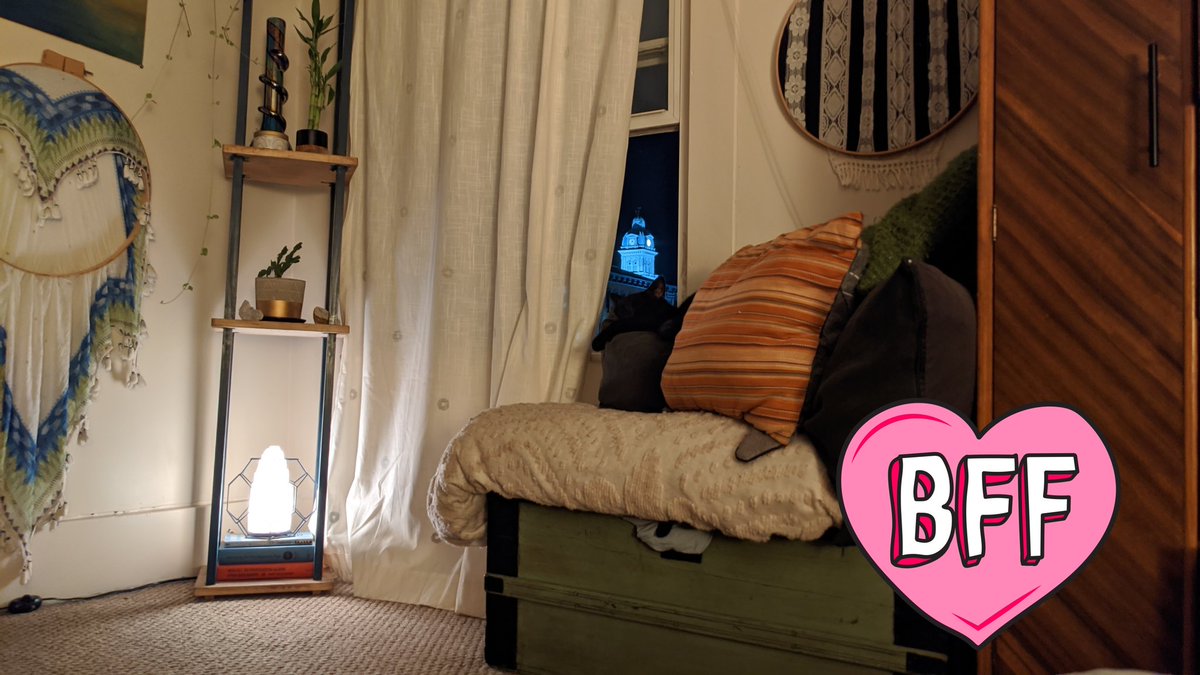 WonderLorde's tweet image. Dank has taken over Little Fluffs spot. 

#LazyDay #Bombbay