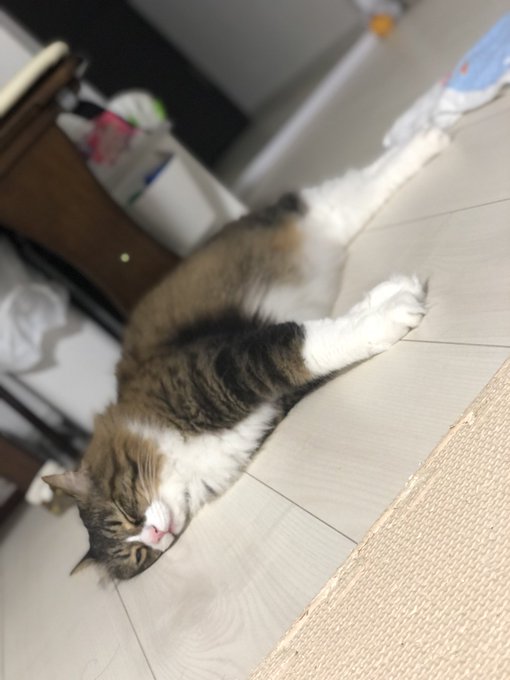 nekozuki2525さんのイラストまとめ 3ページ目