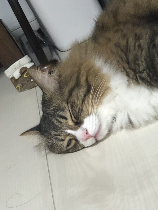 nekozuki2525さんのイラストまとめ 3ページ目