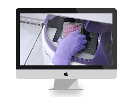 solentim's tweet photo. New Application Note | Clonality And Improved Outgrowth For HEK 293 Cell Line Development - https://t.co/G0EcTl0Isi https://t.co/dbD5KosClL
