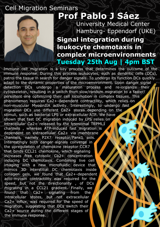 CellMigration's tweet photo. 📢Seminar info

It's our final seminar of the summer schedule. On Tuesday 25th August at 4 PM BST we'll hear from Pablo Saez (@pj_saez) and Ricard Alert (@RicardAlert).

We'll then be taking a two week break as we finalise our autumn/winter schedule, which we will announce soon. https://t.co/enSlBadwzq