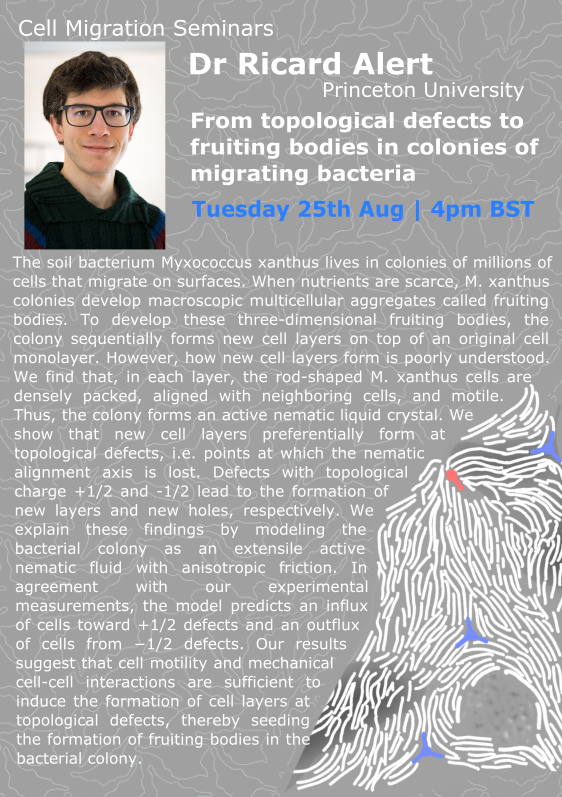 Cell Migration Seminars (@cellmigration) on Twitter photo 📢Seminar info
It's our final seminar of the summer schedule. On Tuesday 25th August at 4 PM BST we'll hear from Pablo Saez (<a href="/pj_saez/">Pablo J. Sáez / now posts in a better place (BSky)</a>) and Ricard Alert (<a href="/RicardAlert/">Ricard Alert Zenón</a>).
We'll then be taking a two week break as we finalise our autumn/winter schedule, which we will announce soon. 📢Seminar info
It's our final seminar of the summer schedule. On Tuesday 25th August at 4 PM BST we'll hear from Pablo Saez (<a href="/pj_saez/">Pablo J. Sáez / now posts in a better place (BSky)</a>) and Ricard Alert (<a href="/RicardAlert/">Ricard Alert Zenón</a>).
We'll then be taking a two week break as we finalise our autumn/winter schedule, which we will announce soon.