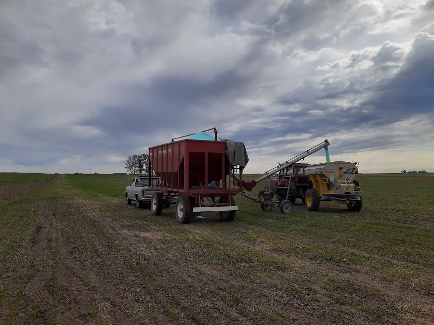 Realizando ensayos con #Nitrain junto al agrocentro Gardey 

#Nitrain es un inhibidor de ureasa, que reduce las perdidas por volatilización de N

Fertilización balanceada y eficiente ✅