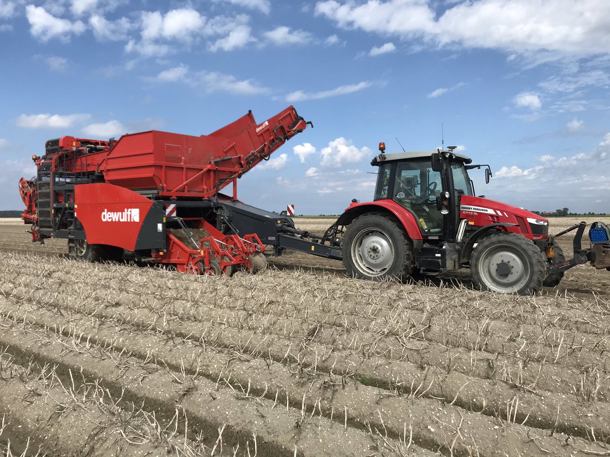 Patrickackeren's tweet image. Deze week begonnen met pootgoed rooien, loopt mooi met de voor ons nieuwe #dewulf_group #sayagrico