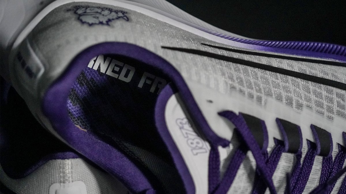 tcu nike pegasus