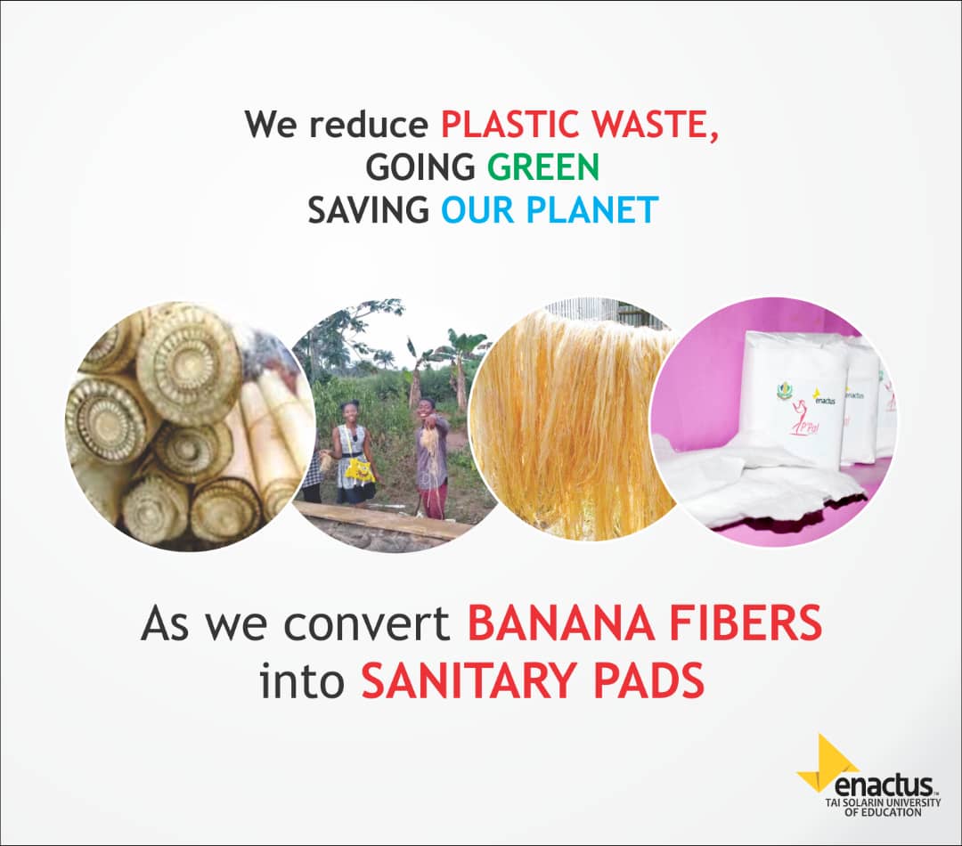EnactusTasued1's tweet photo. At ENACTUS TASUED, we are converting Banana Fibres 🍌 to Sanitary Pads(P'pal)...
💯 Eco-friendly, hygienic and affordable to all.
We reduce plastic waste,
Go green!
Save our planet,
Go green!
#Tasued
#enactusTASUED
#Ppal sanitary pad
#BANANAfibers
#Gogreen
#EnactusNG20 https://t.co/nMuDMJfvk5