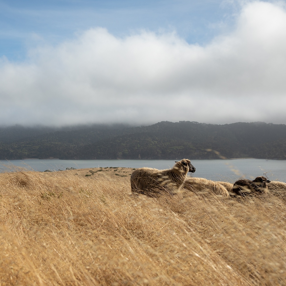 Edelman Leather tweet media