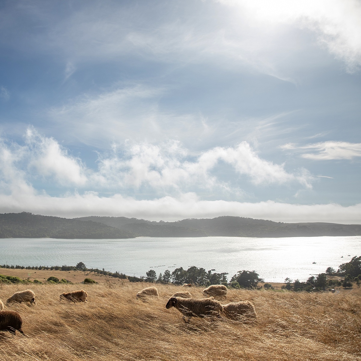 Edelman Leather tweet media