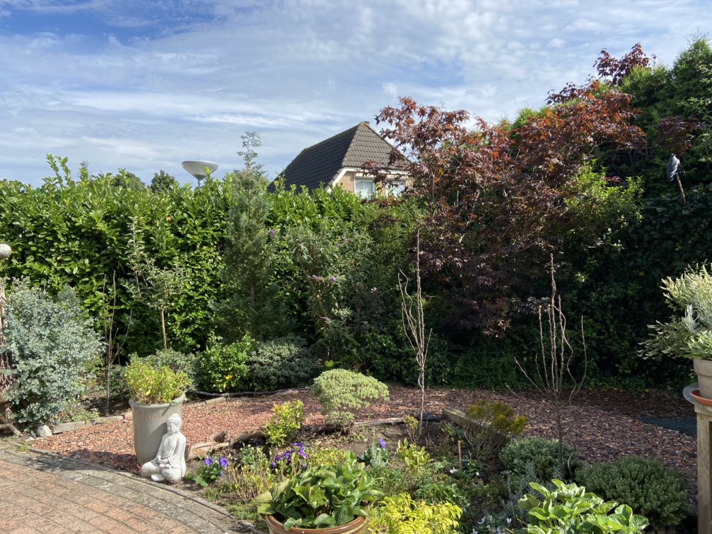 De tuin weer verder vergroend! Tien perenbomen erbij! Bedankt <a href="/MeerbomenN/">MeerBomenNu</a>