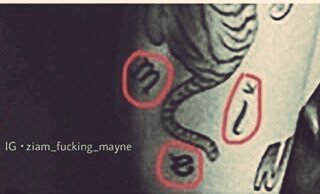 zaynscurlysue's tweet photo. Idk why but that tigers tail looks like a L and then the other one looks like an i and after that there’s an upsidedown  a and McDonald's m.
#zombieisreal https://t.co/h0QwewaSD2