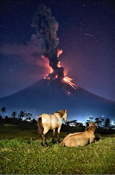 The Best Pictures tweet media