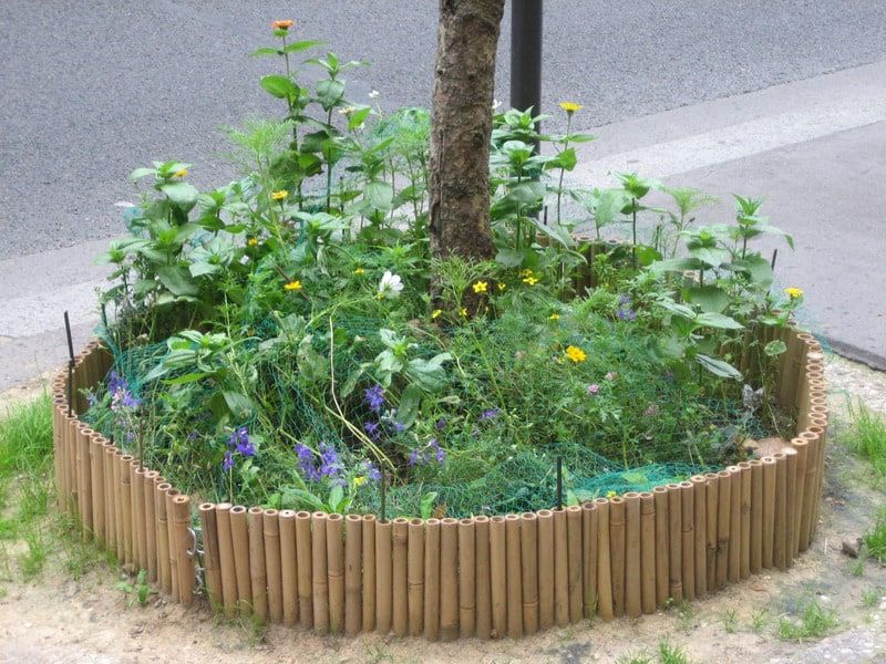 grescoe's tweet photo. Citizens of #Paris can apply for an easy-to-obtain 3-year “permis de végétaliser"—public gardening permit—that allows them to plant just about anywhere there's dirt (as long as they agree not to use pesticides!) @anne_hidalgo https://t.co/RLEgSAd1Xu https://t.co/L7LT3zDCDT