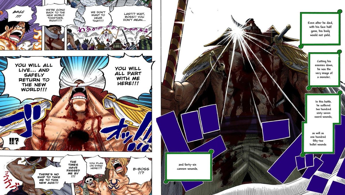 I believe it's Zoro who inherited the will of Whitebeard. I believe this due to the similarities in both of their philosophy to life; both are willing to sacrifice themselves and endure insane pain and suffering to ensure their crews safety.