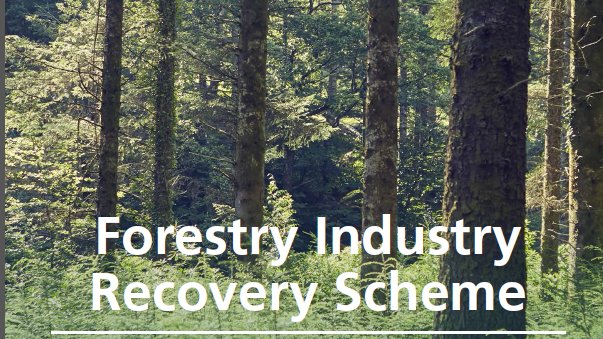 ForestryACE's tweet image. Forestry Advisory Consortium has advisers that can help business apply for productivity funding. Latest opportunity in Wales is the Forest Industry Recovery Scheme tinyurl.com/yxlo73cd