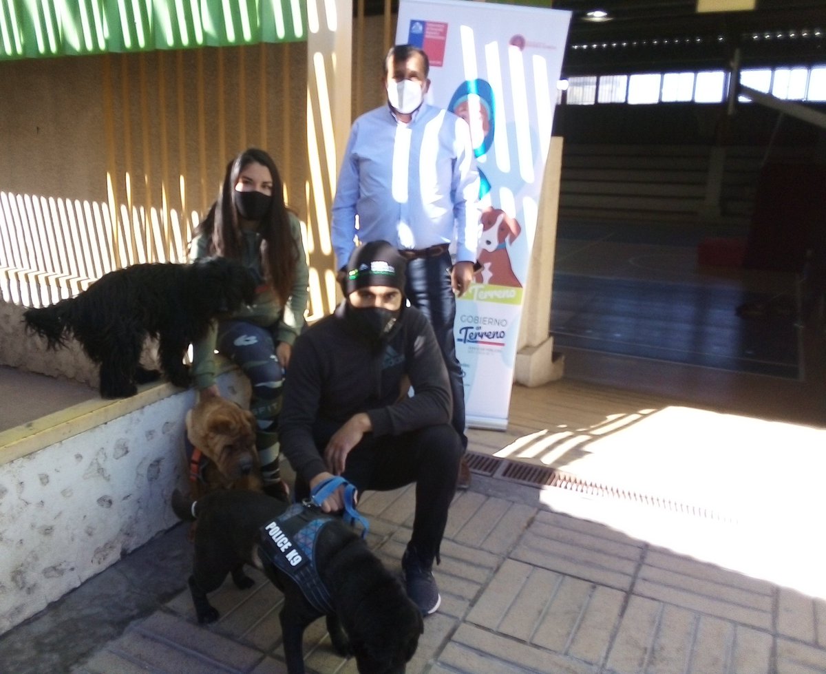 JoseGuerrero_sg's tweet photo. Una nueva jornada de atenciones veterinarias del programa #mascotaprotegida se realizó en #SierraGorda. Nuestros vecinos acudieron con sus mascotas que fueron atendidas de manera gratuita 
#tenenciaresponsable @MuniSierraGorda https://t.co/tp8iOk1PGj