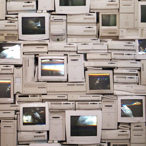 𝕭𝖗𝖚𝖈𝖊 𝖑𝖊𝖊 𓈒 ᱸ  🪐

       𝕳ey bro, 𝕹𝖆𝖒𝖊 ( tokmai ) 𝕸arklee 𝖝1999𝖘 𓈒 gonna do ˓ แลกฟอล 𐩐 ตามทัก ˒ 𝖗𝖊𝖙𝖜𝖊𝖊𝖙
this n let’s talk with 𝓶e  🎱

         𓈒  ยพท ลฟตท 🛹  ⁺  𓈒  𐩐