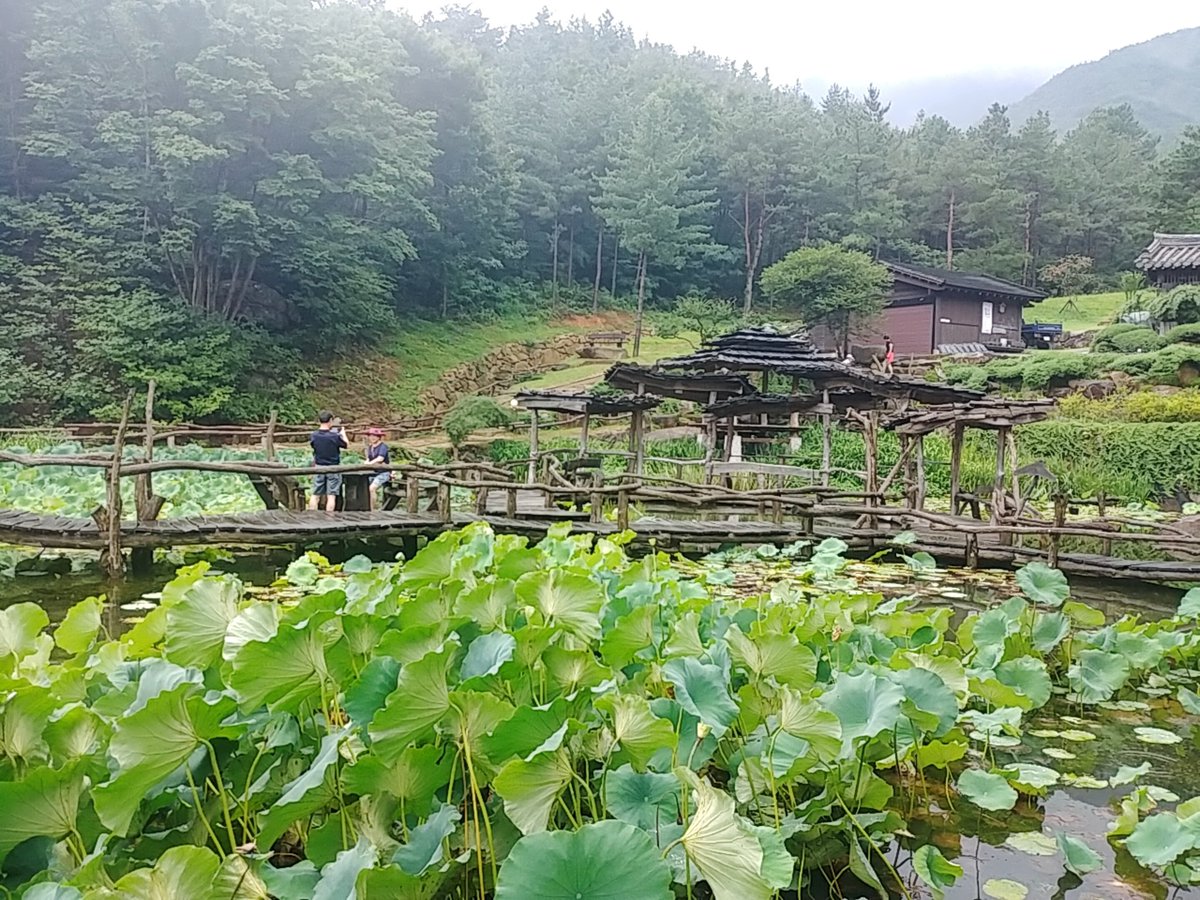 같은 시간
같은 곳에서
손을 잡고 걸어도
우리는 하나 될 수 없슴을 안다

한걸음 한걸음
무겁게 내딛이며
같은 곳을 보고 걸어도
우리는 한마음 일 수 없슴을 안다

비켜가는 시간
지나가는 계절속에
풀벌레 소리 처량하고
안타까운 마음만 더해간다.