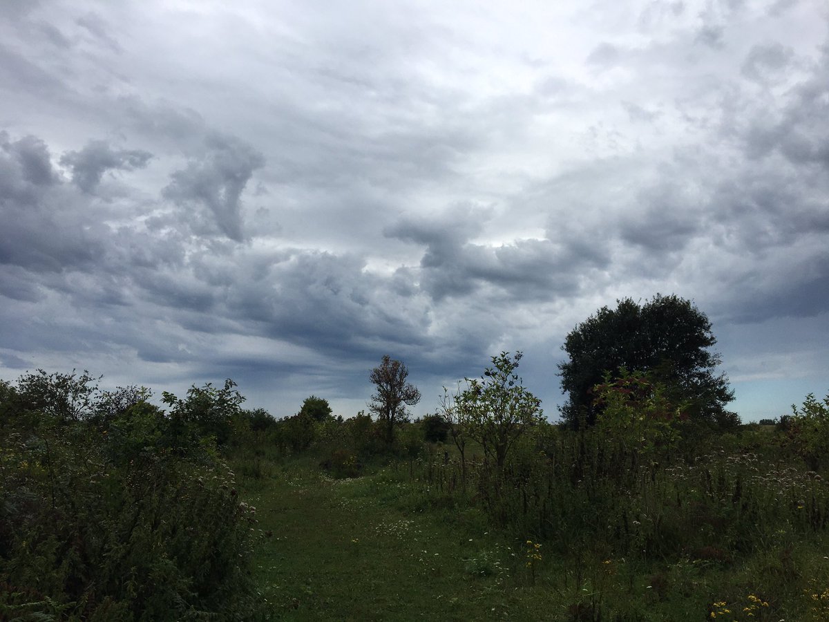 Apis1Apis's tweet photo. Mooie luchten bij het wegtrekkend regenfront vanochtend #SvdH @ZeeuwsLand https://t.co/Dfu4xHq6zx