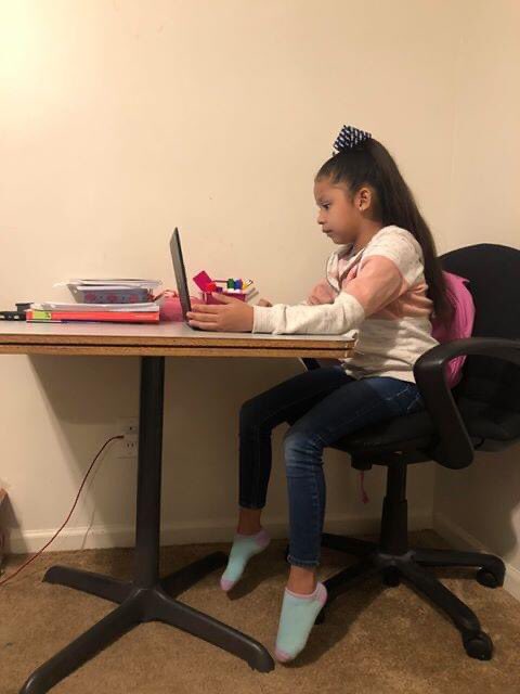 Our students are doing an incredible job learning from home! Share a picture of your student learning virtually! You can send the picture in messenger or post the photo on your page and use the hashtags #HuskiesLeadThePack and #HuskyStrong