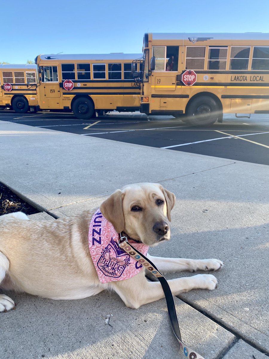 Kara Kowalk tweet media