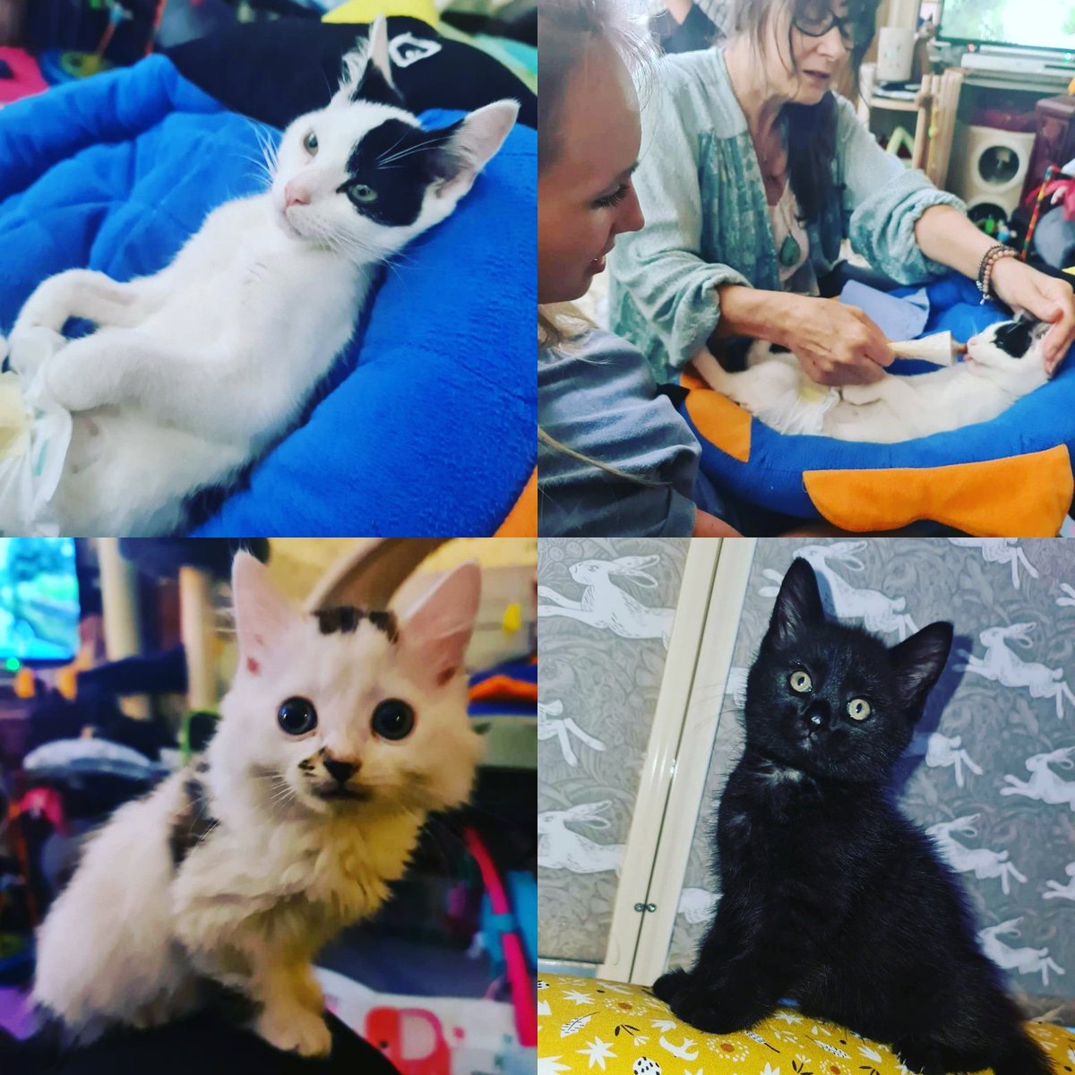 A visit to Susan and Andy last night to see Heidi. 

She has made some very small improvements, small BUT an improvement is an improvement,  right!? 💙🤗💙

Here she is, oh and a few other little faces 💙💙💙💙