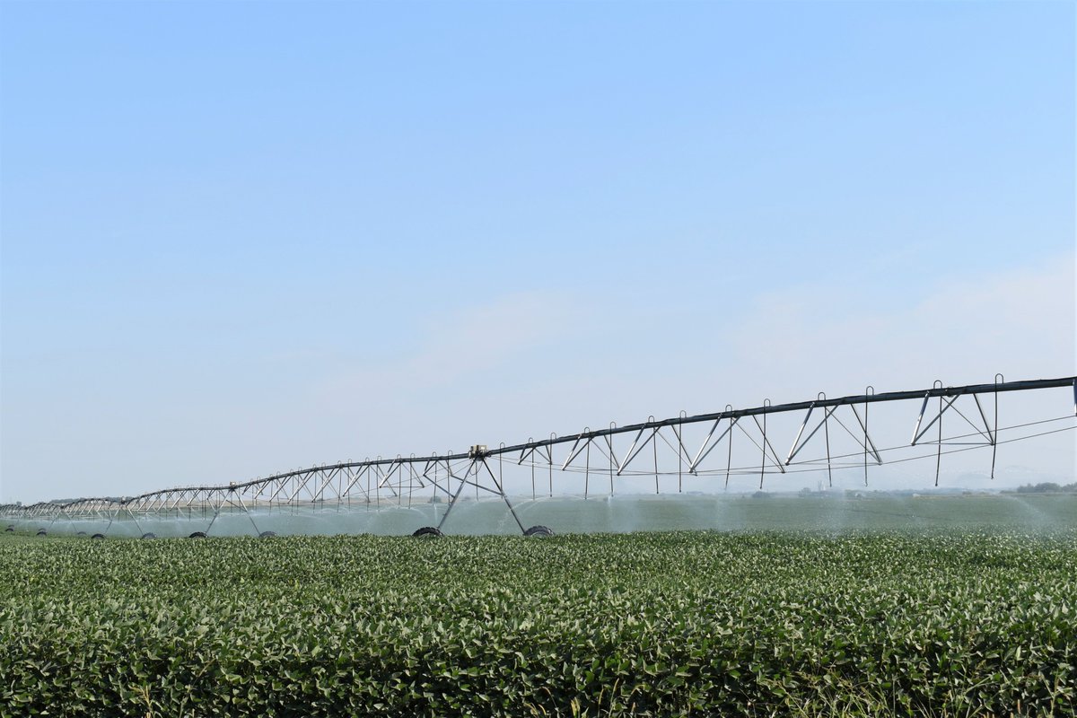 Know2Grow Alert - Final Irrigation of the Season
nordersupply.com/agronomy/final…