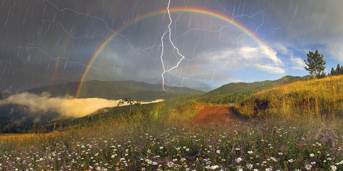 backThorGod's tweet image. It's god damn #ThorsDay  

Here you see the Bifröst and me, or at least my work. Stay safe and remember to love yourself 

T🌩️