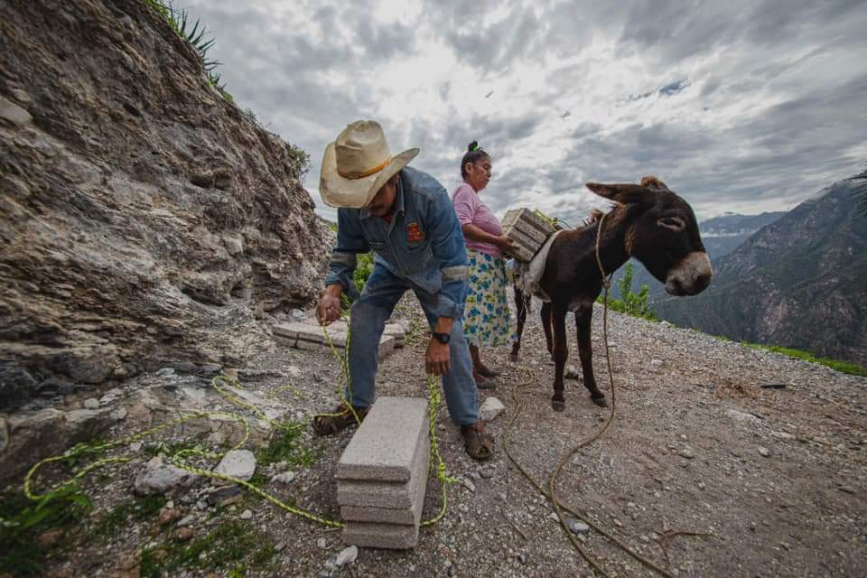 GilbertoHRuiz's tweet photo. Voluntad inquebrantable. 
Para muchas comunidades lo difícil no es construir sino trasladar los materiales, en la Luz Cadereyta no hay camino, sólo una brecha de difícil caminar, hora y media a pie para llegar a esta comunidad de gente trabajadora.
#LEEN La Escuela es Nuestra. https://t.co/cLWJCf2wZw