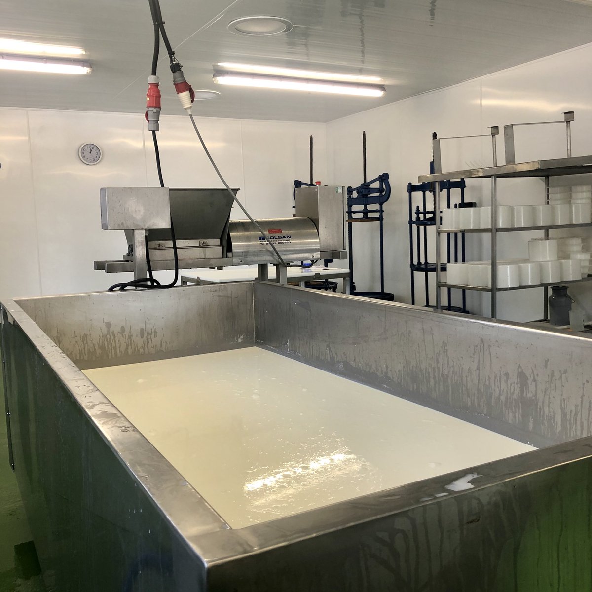 Today for the first time we ran both our creameries in tandem with one thousand litres of milk in each being made into cheese. Here, in the Old Parlour creamery we made Chedworth. Raw milk, pint starter, calves rennet, a traditional British territorial.