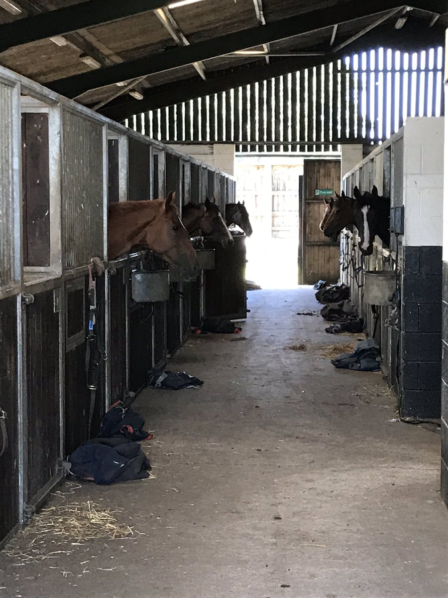 DAK Training tweet media