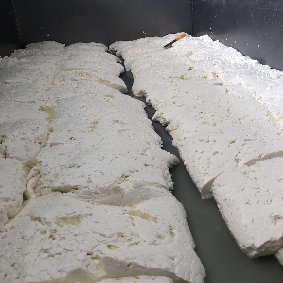 Texturing the curd for Chedworth. Due for release in Late autumn.