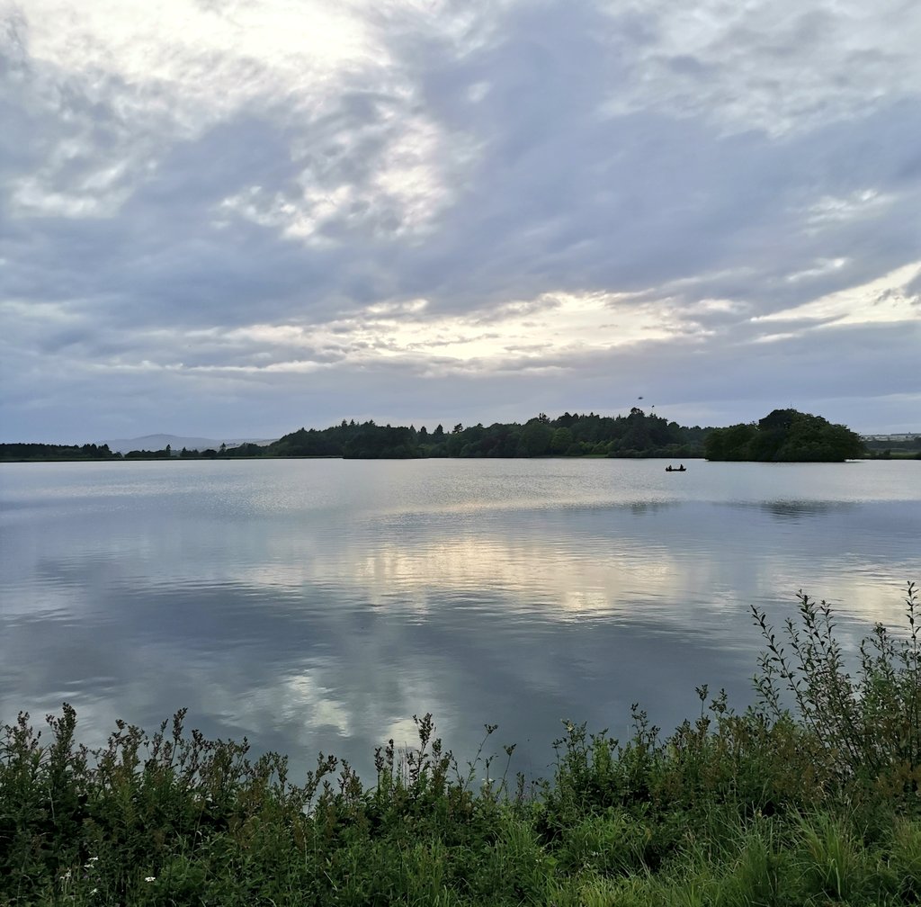 Day 157. The nature pictures resume! Such a lovely wee walk around here tonight with one of my best friends!