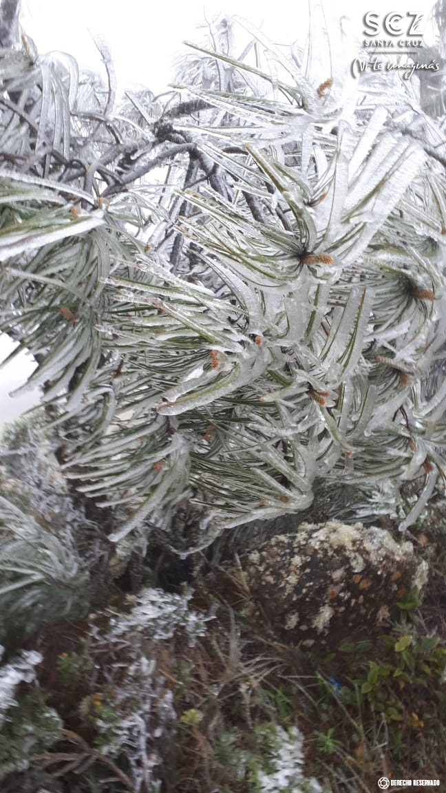 Santa Cruz, Bolivia tweet media