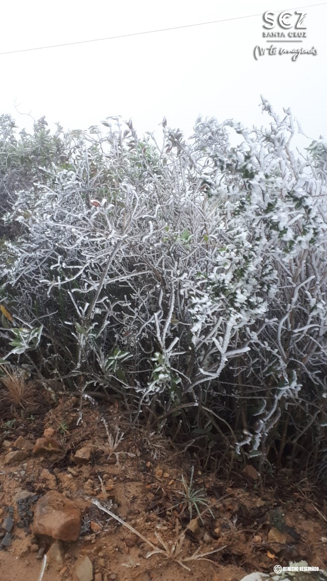 Santa Cruz, Bolivia tweet media