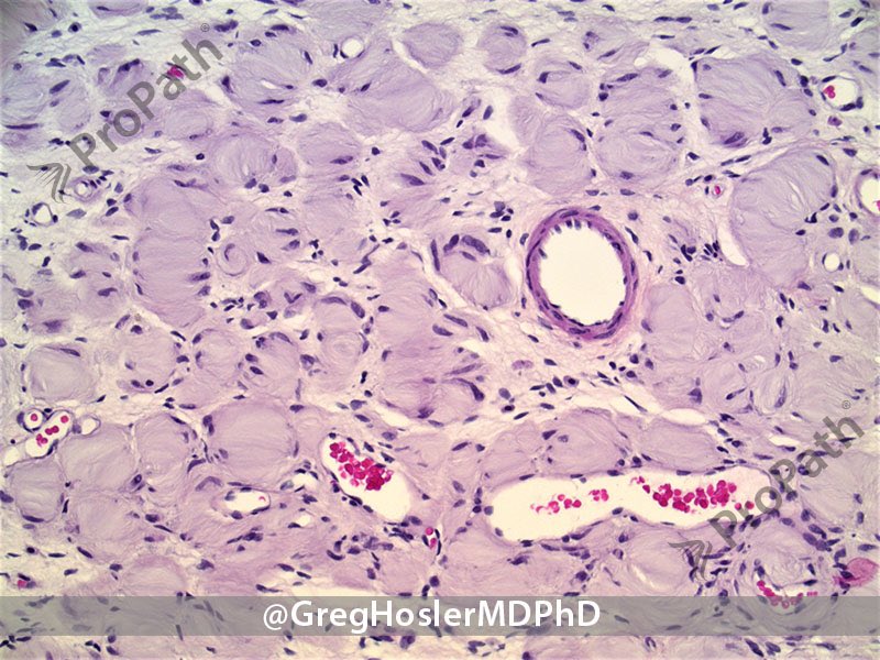 Gregory A Hosler tweet media