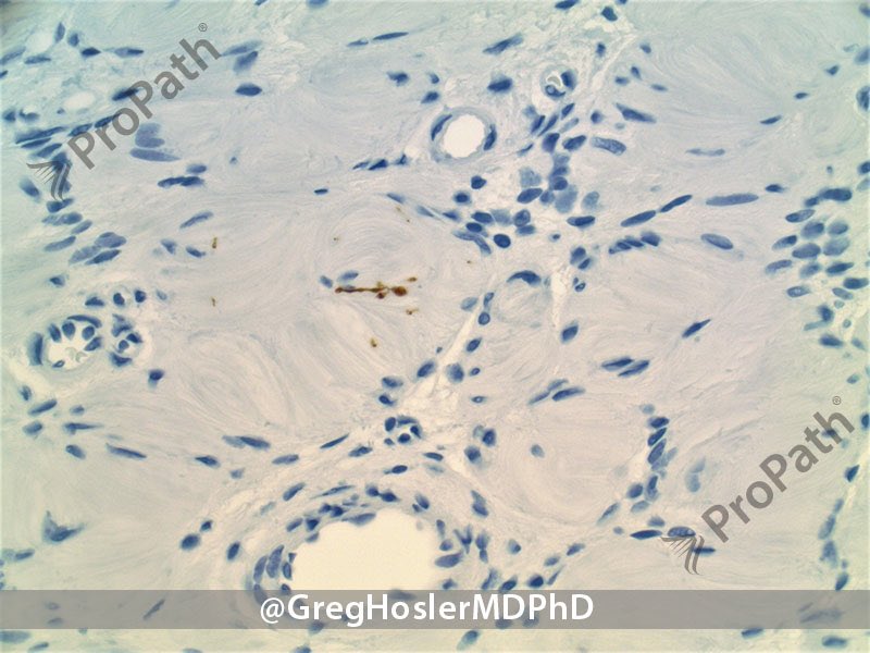 Gregory A Hosler tweet media