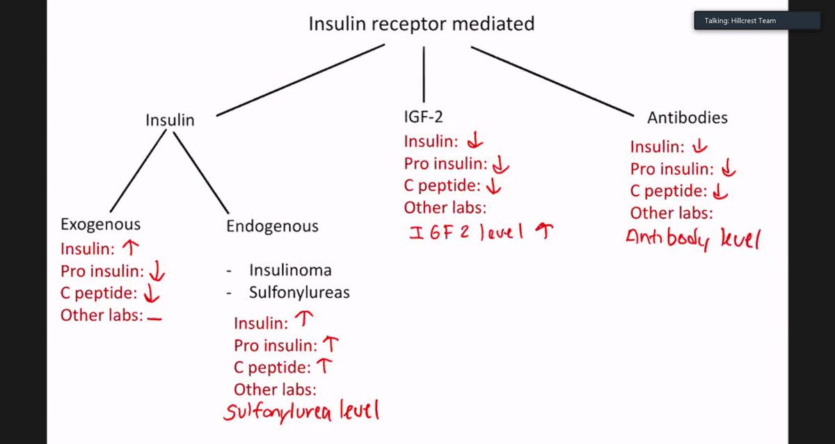 ucsdim's tweet photo. Simple, straightforward ways to lock down🗝️#MedEd concepts.

Today's #MTC was a case of sulfonylurea toxicity! Check out Chief Samantha &amp; #Endocrinology Empress @tsantoscavaiola's breakdown of insulin-receptor mediated #hypoglycemia!🍭
#MedTwitter #EndoTwitter #MedStudentTwitter https://t.co/8tpnBurxom
